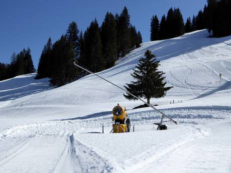 Sneeuwzekerheid Simmental – Sneeuwzekerheid Rinderberg/Saanerslochgrat/Horneggli – Zweisimmen/Saanenmöser/Schönried/St. Stephan