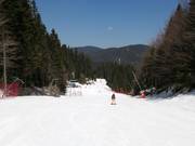 Piste 6 Skiweg Pamporovo (Toerist)