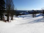 Piste nr. 43 M3 Lewa