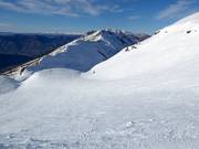 Saddle Basin Dave's Ditch