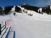 Oefenpiste bij de sleeplift Lilleputt