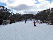 Gemakkelijke piste Wombats Ramble