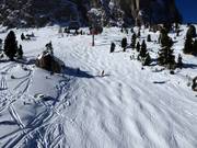 Buckelpiste bij de Sotsalong