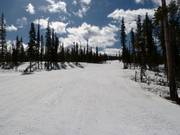 Afdaling Whistlestop