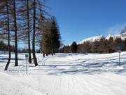 Langlaufloipe Golf in Crans