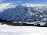 Sneeuwlans bij piste 5