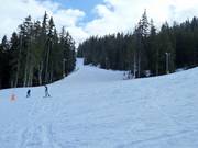 Gemakkelijke piste Windjammer