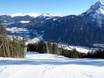 Skigebieden voor gevorderden en off-piste skiërs SKI plus CITY Pass Stubai Innsbruck – Gevorderden, off-piste skiërs Schlick 2000 – Fulpmes