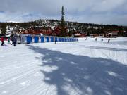 Tip voor de kleintjes 