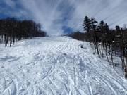 Diep sneeuw helling Kolašin 1450