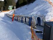 Horberg Shuttle 2 - Overdekt(e) transportband/Moving Carpet