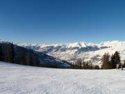 Genoeg ruimte voor iedereen