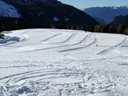 Langlaufloipes bij de Rollepas