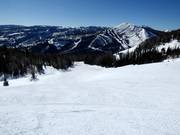 Piste Screaming Left