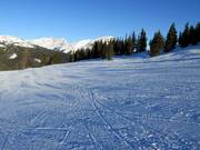 Vers vers geprepareerde piste in het skigebied Sunshine Village