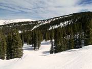 De pistes in Blue Sky Basin