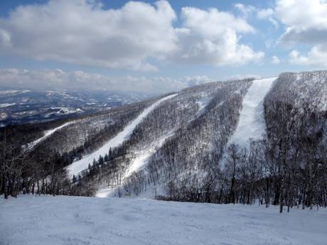 Skigebieden voor gevorderden en off-piste skiërs Oost-Azië – Gevorderden, off-piste skiërs Rusutsu