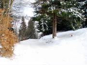 Omleiding steile helling (piste 9a)