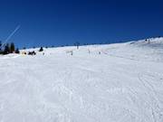 Gemakkelijke piste Zirmes