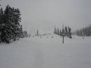 Pistes bij de Armstrong Express