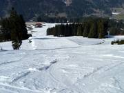 Märchenwiese - langste piste in het skigebied