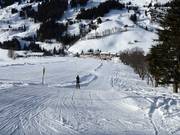 Zachhof Babylift - Sleeplift met T-beugel/Ankerlift