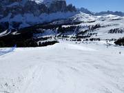Moeilijke piste Paprika