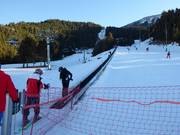 Pastors - Transportband