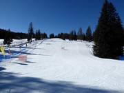 Gemakkelijke piste Armentarola