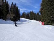 Piste Panorama