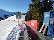 Märchenwald - Transportband/Moving Carpet