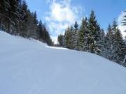 Gemakkelijke afdaling