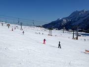 Gemakkelijke pistes bij de Passo del Tonale