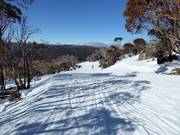 Village Trail in het middelste gedeelte