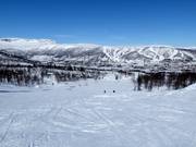 Gemakkelijke piste Kikut nr. 68