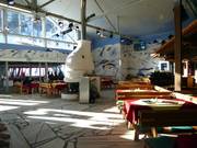 Arena-Bar in de Weltcuparena Zauchensee