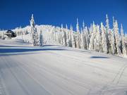 Start van de piste Cahilty