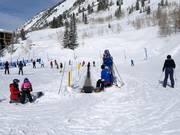 Chickadee Conveyor - Transportband