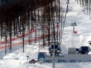 Zapovedniy les - 8-persoons gondel (met 1 kabel)