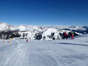 Gemakkelijke piste nr. 6 Paradiso