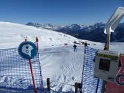 Carrot Crono run (racebaan)