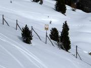 Beschermde bosgebieden mogen niet betreden worden