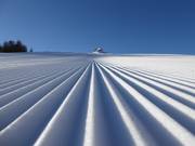 Perfecte ribbels in de sneeuw