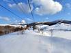 Azië: beoordelingen van skigebieden – Beoordeling Rusutsu
