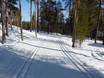 Langlaufen Finland – Langlaufen Pyhä