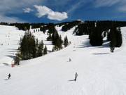 Pistes in Mid Vail
