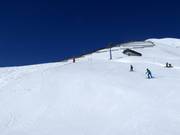 Moeilijke piste Fopps