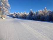 Zeer goede pistepreparatie in Mitterdorf