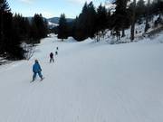 Gemakkelijke Donauwellenafdaling