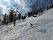Diepsneeuwpiste door lichte bossen